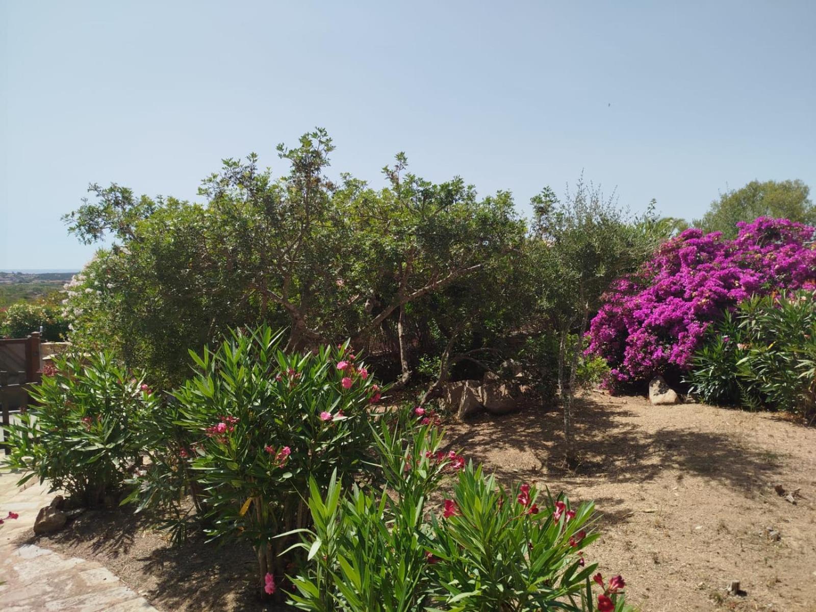 Villa Vista Mare Cala Ginepro Punta Molara Esterno foto